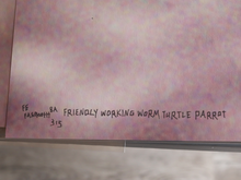 Load image into Gallery viewer, Friendly Working Worm Turtle Parrot (17x22 Fine Art Full Art Signed Print)
